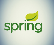 java spring frameworks Our Expertise