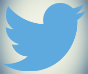 twitter logo Social Media Plug in