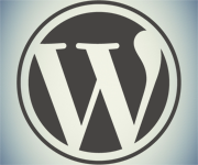wordpress logo Social Media Plug in
